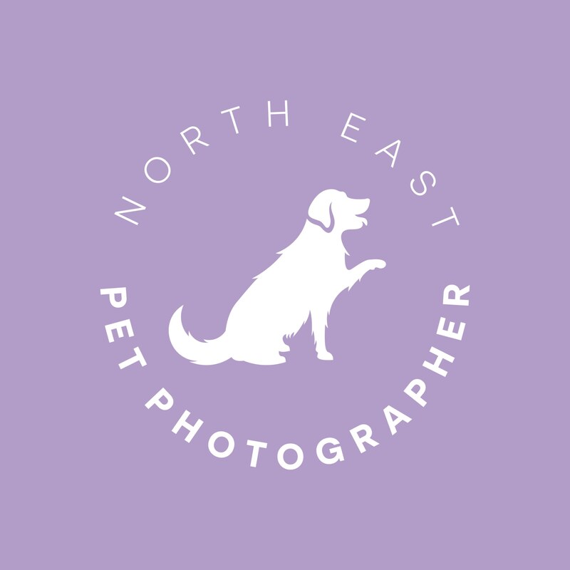 North East Pet Photographer