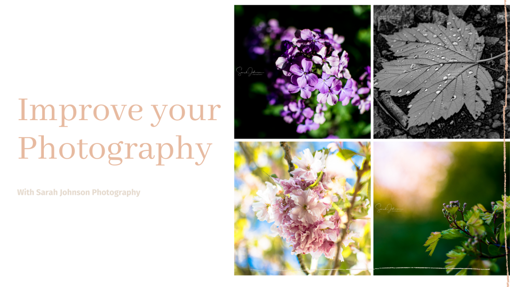 improve your photography, improve your imagery