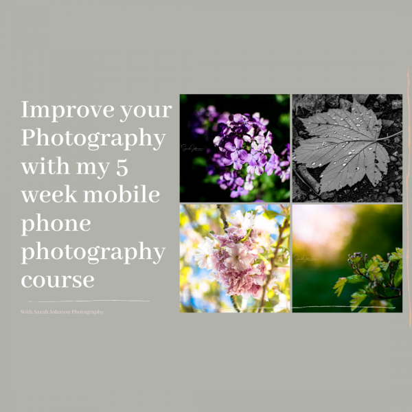 Mobile Phone Photography Course Advert