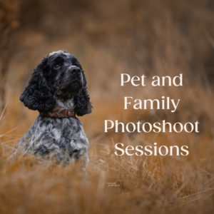 Pet and Family Photoshoot Sessions